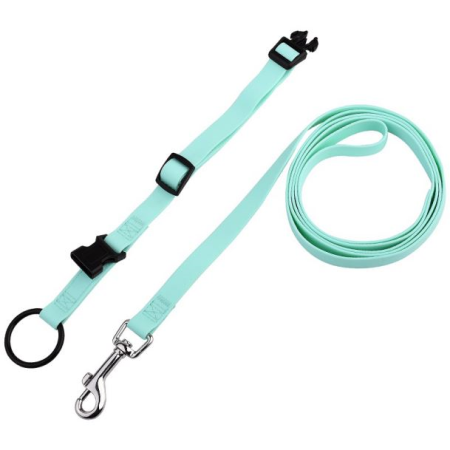 Vodotěsné přizpůsobené barevné PVC potahované popruh na psa a vodítko